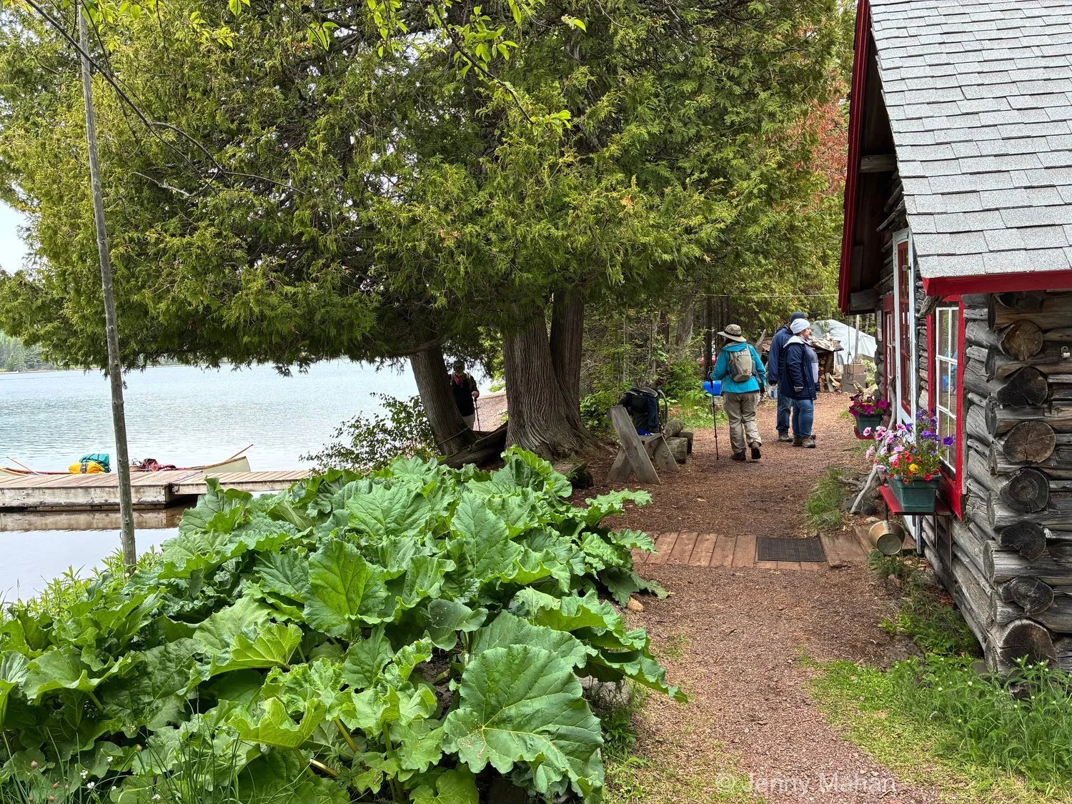 Bangsund Cabin -- Wolf-Moose research station (canoe at dock is loaded for the Petersons' planned canoe trip)