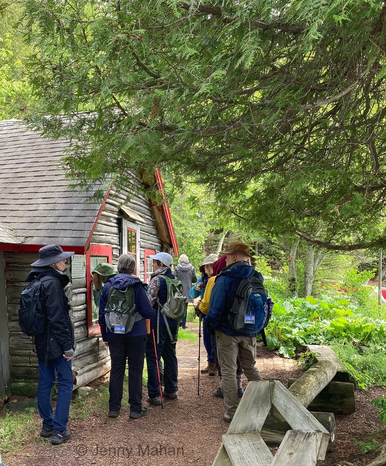 Arrival at Bangsund Cabin -- Wolf-Moose research station