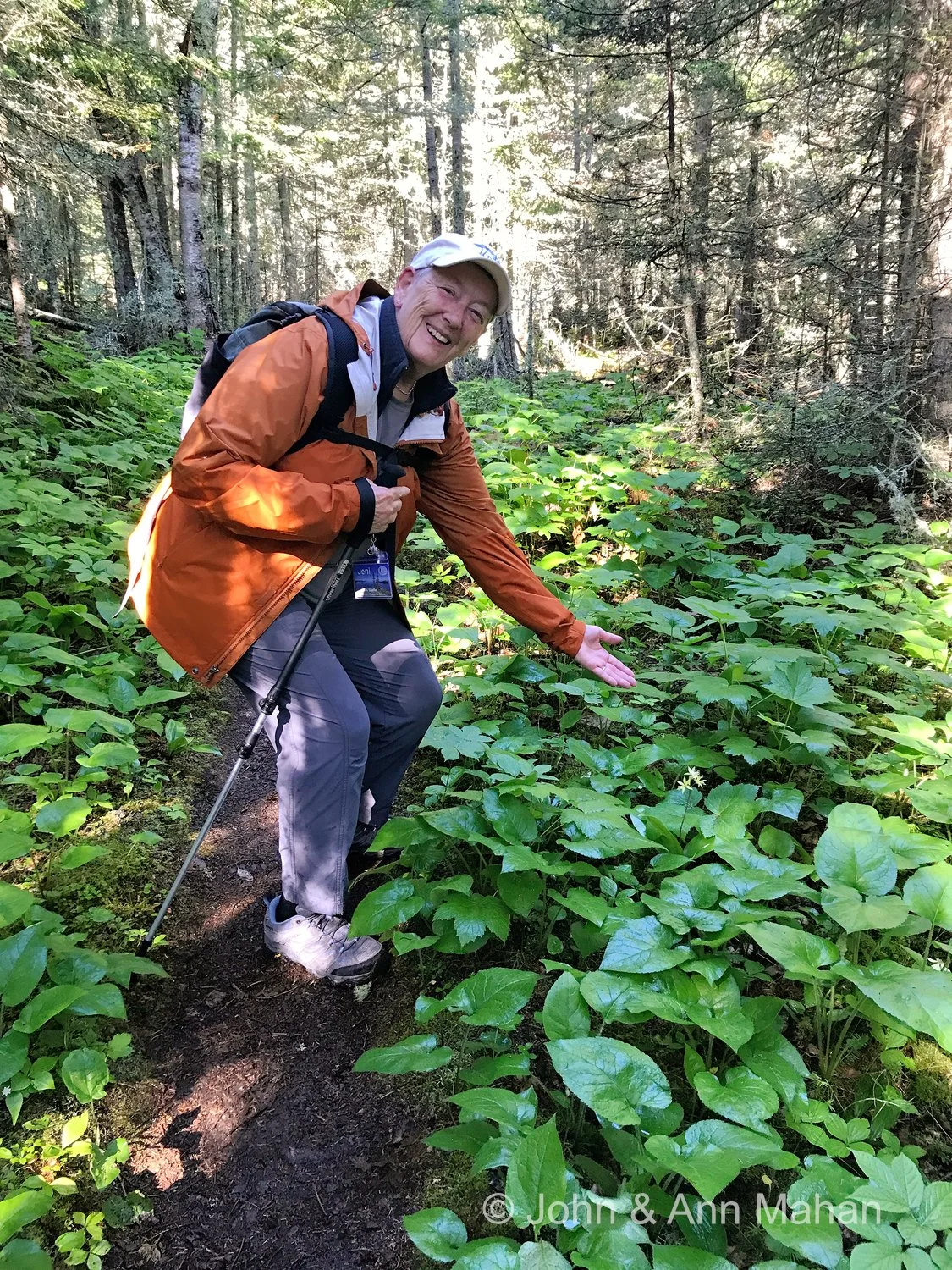 Scoville Point Hike -- pointing out a unique club moss