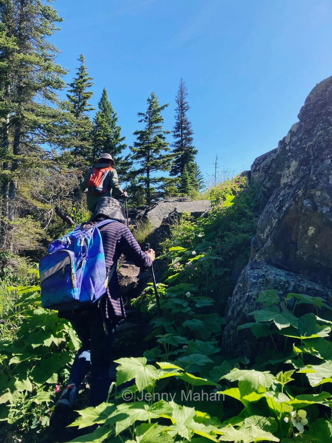 Hiking to Scoville Point