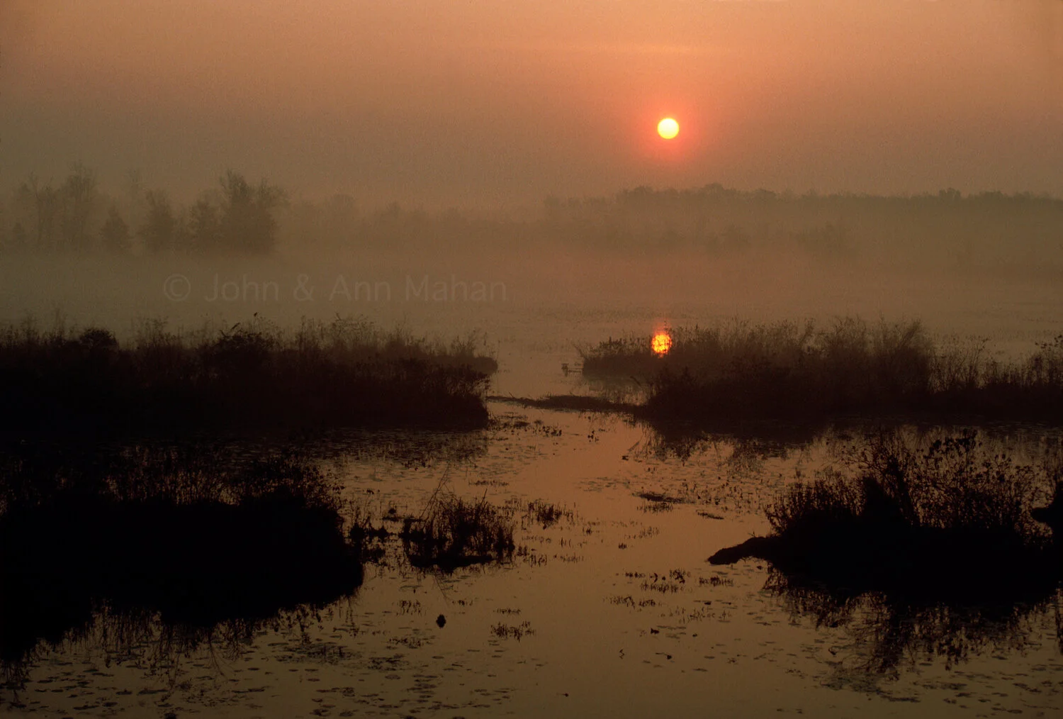 ID_26-4213B   Jasper-Pulaski Marsh at Sunrise