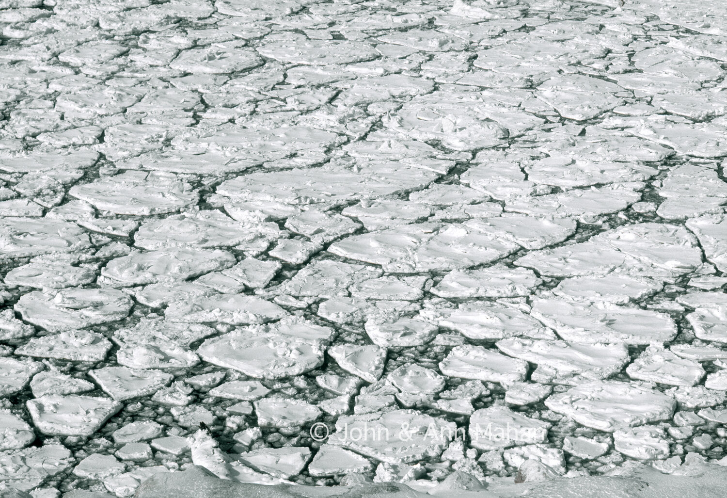 ID_15-2021C   Pancake Ice on Lake Michigan