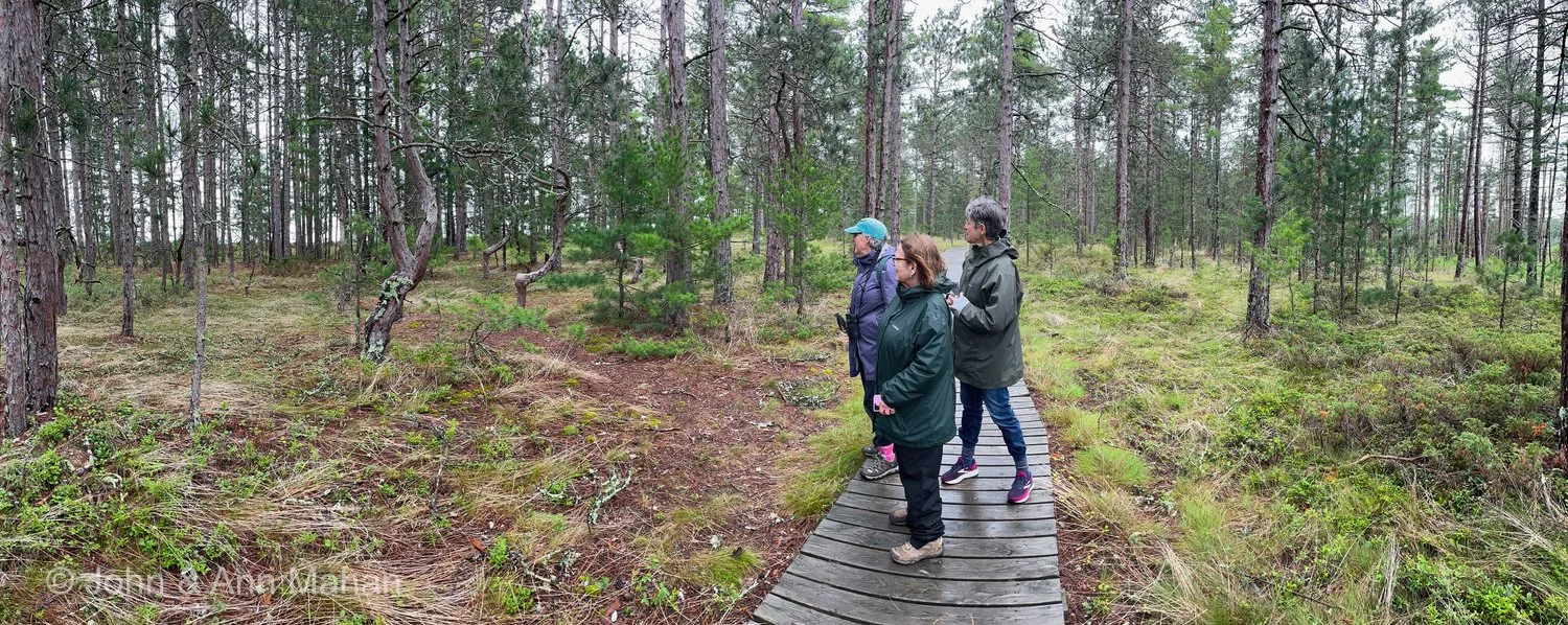 Big Bay State Park, Madeline Island -- Boardwalk