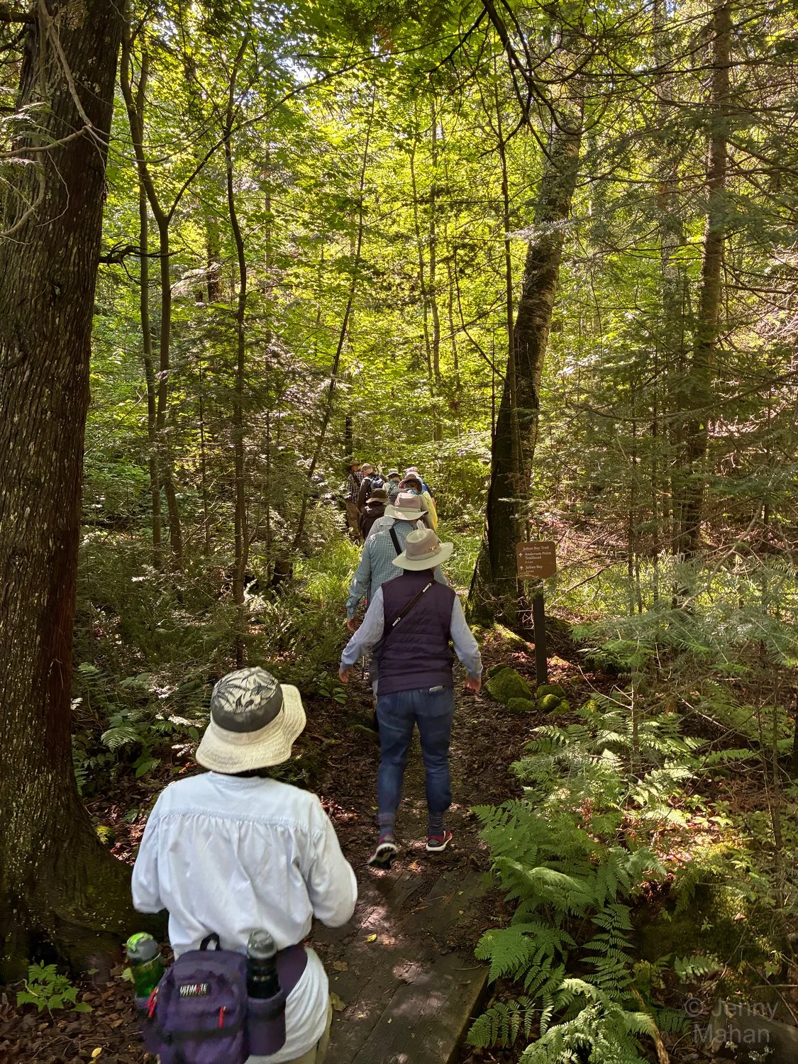 Stockton Island -- Julian Bay Trail