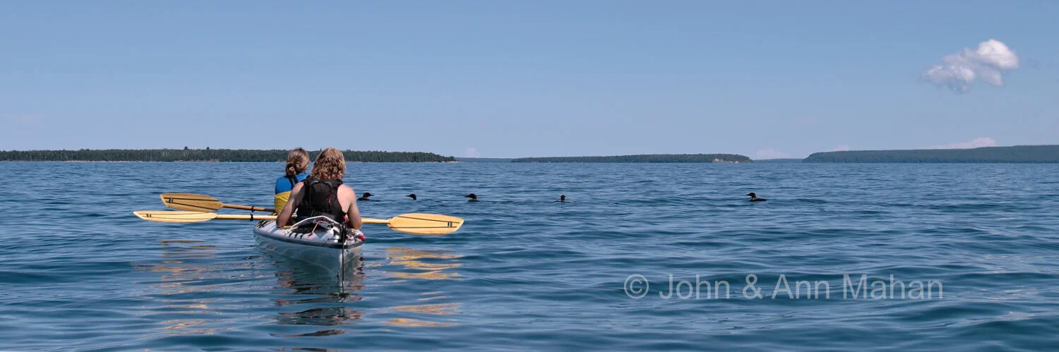 ID_4346B1_04  Loons approaching Sea Kayak near Sand Island -- Apostle Islands