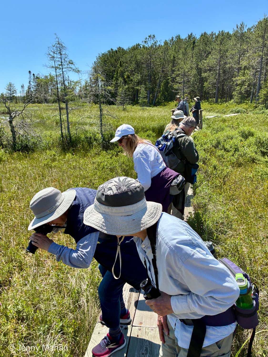 Stockton Island Tombolo Trail -- Viewing Bog from the Boardwalk