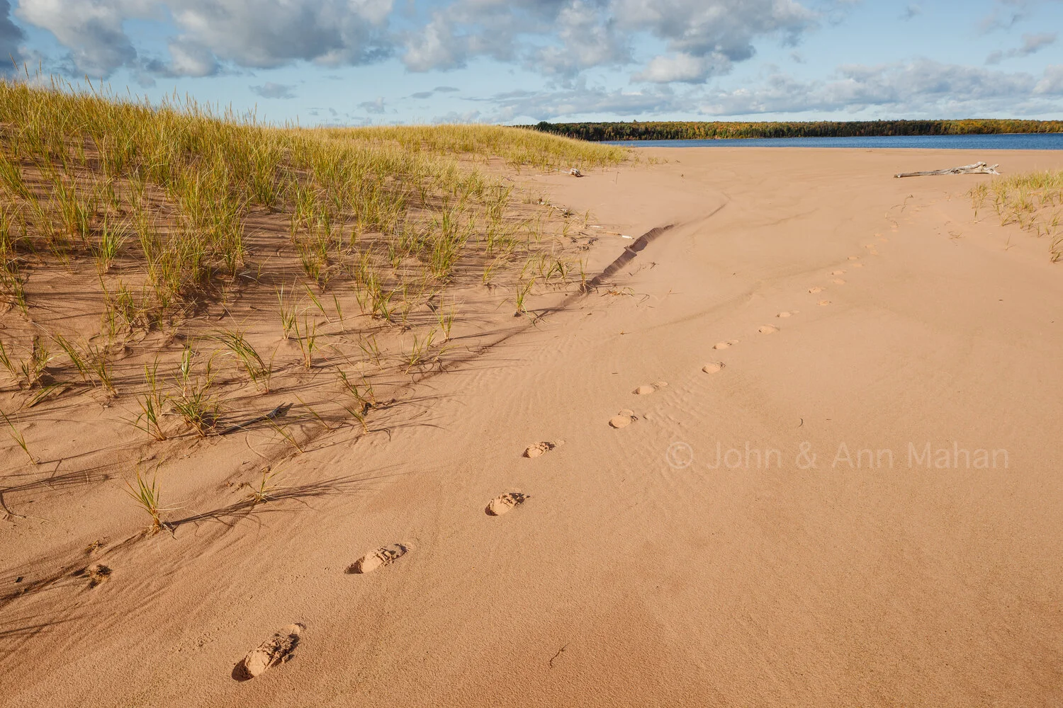 ID_6524C6_09 Tracks on Julian Bay dunes -- Stockton Island