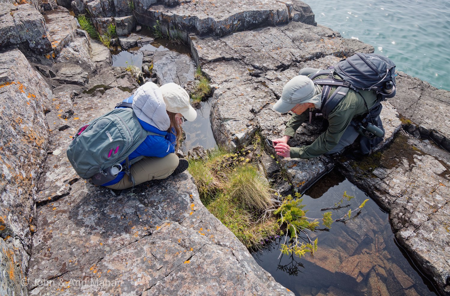 Scoville Point Rock Pool