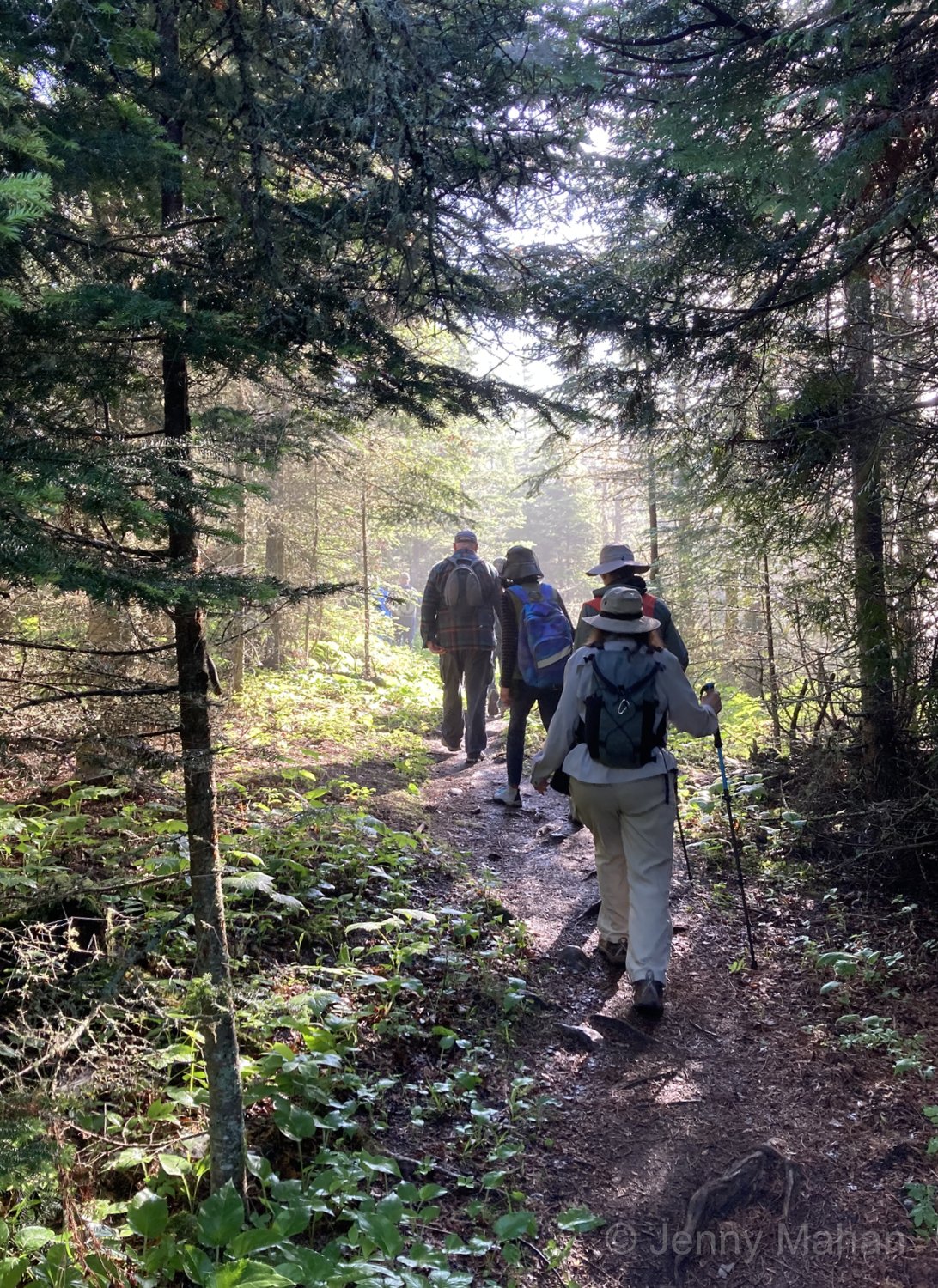 Scoville Point Hike