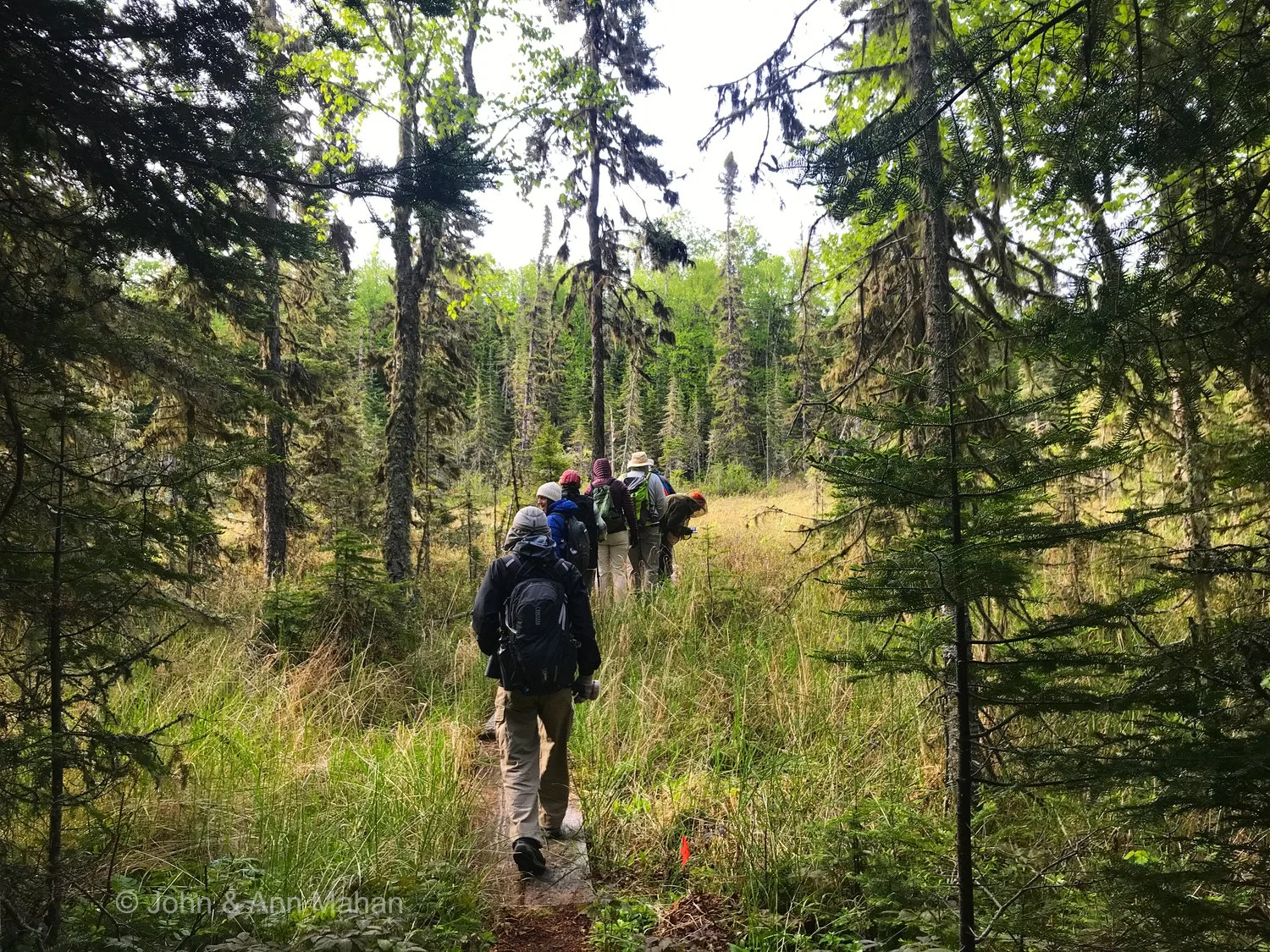 Raspberry Island Bog
