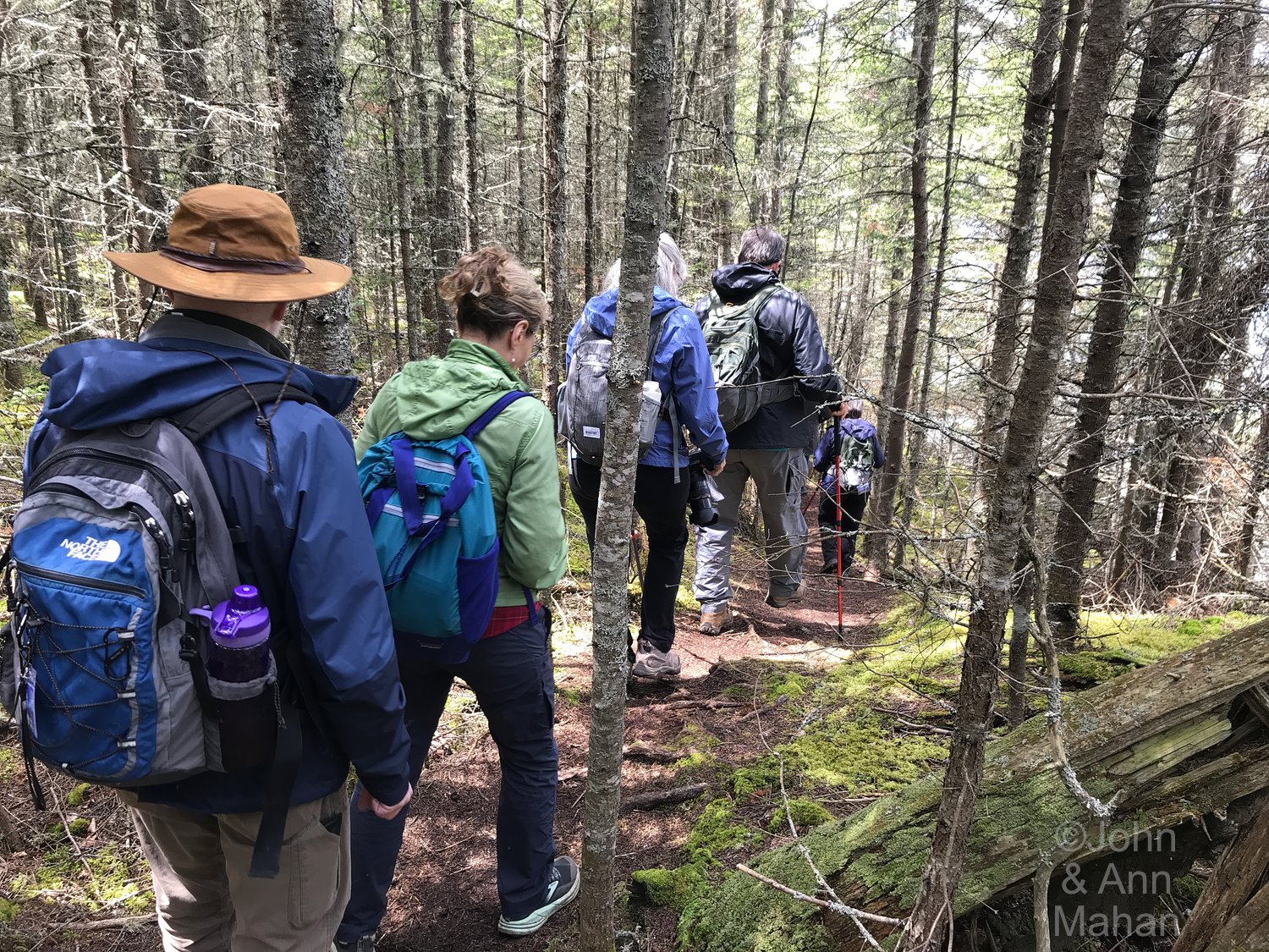Hiking to Bangsund Cabin -- Wolf-Moose research station