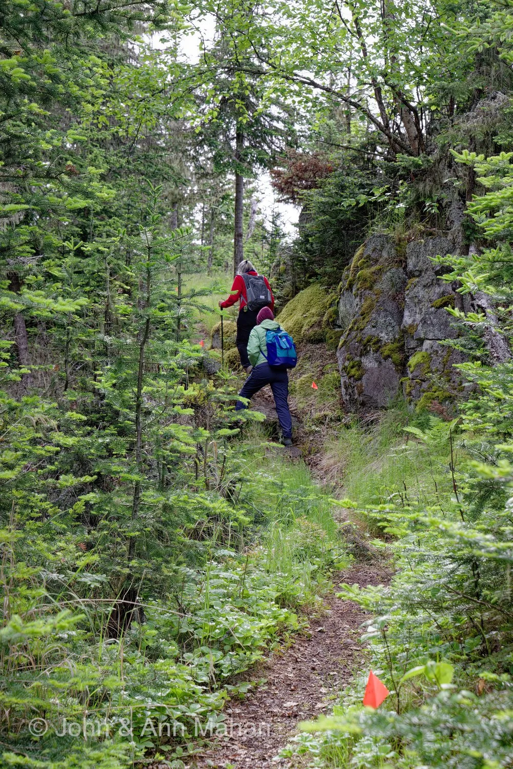 Raspberry Island -- Hiking from the bog to Lake Superior outer shore