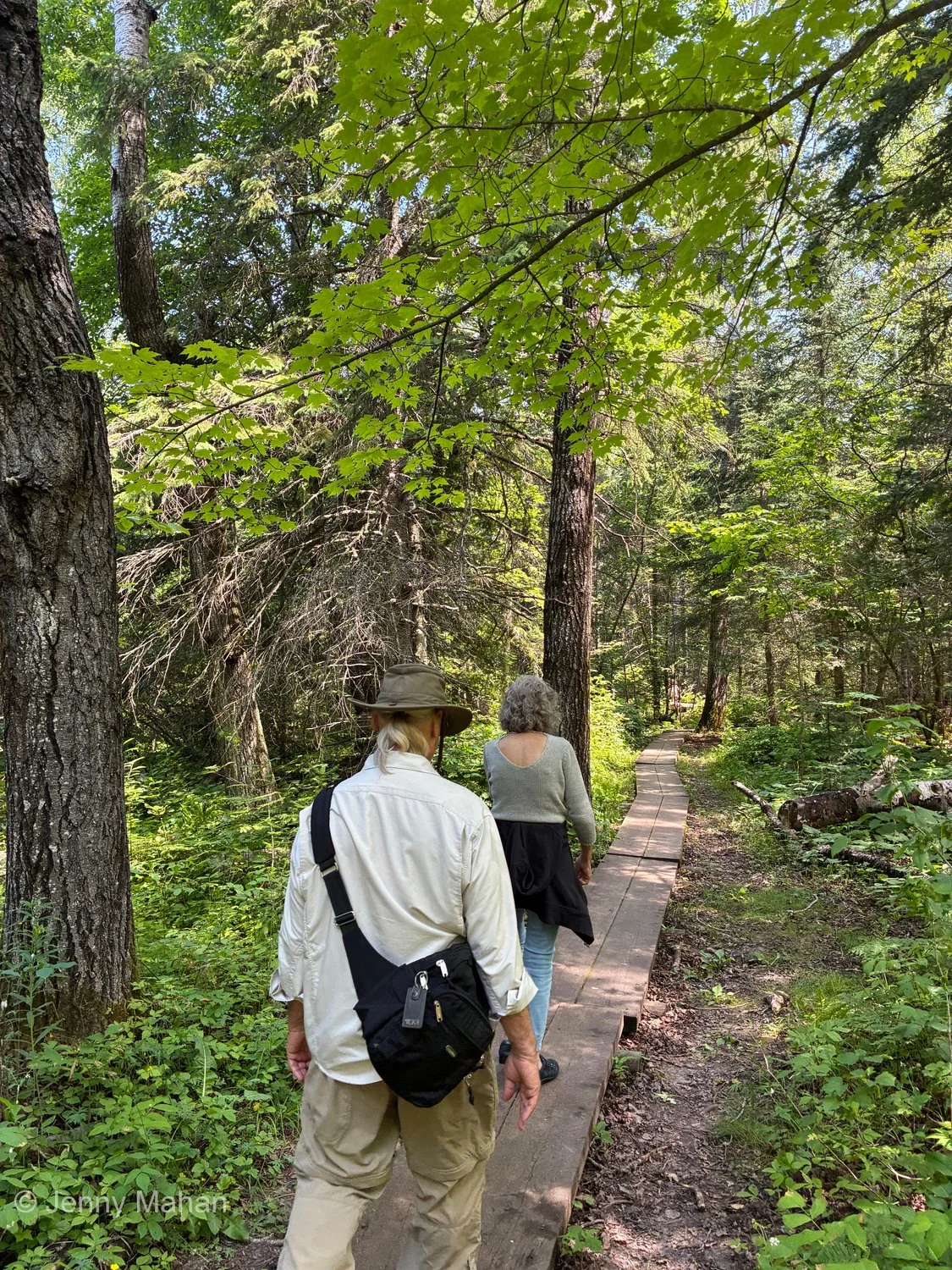 Hiking on the Lakeshore Trail Boardwalk