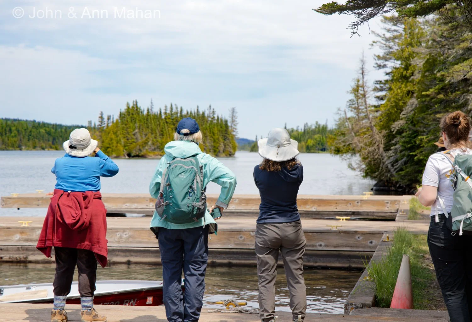 Watching a cow and calf  moose on a Tobin Harbor island, soon after arrival on Isle Royale