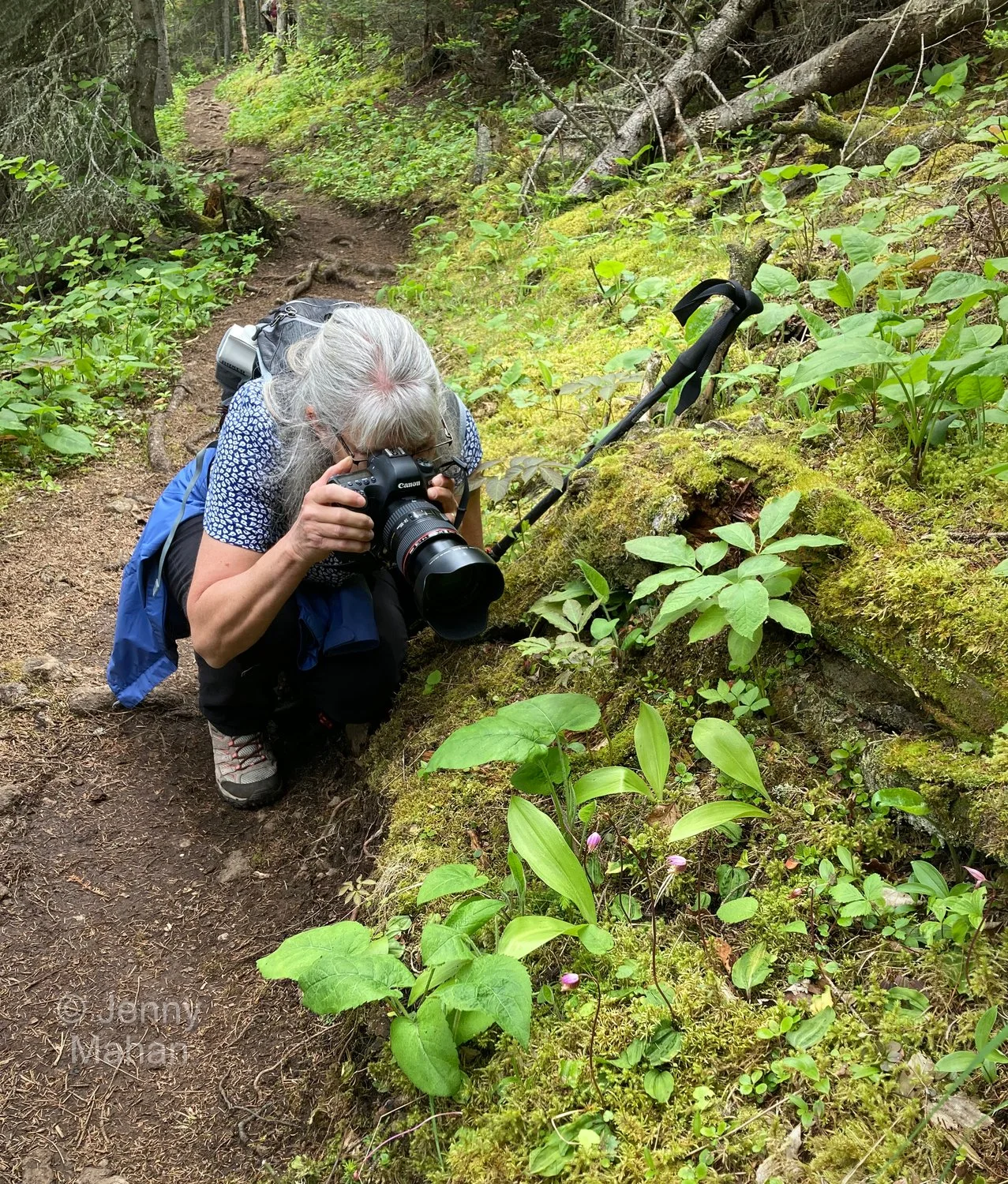 Suzy's Cave Hike -- Photographing Calypso Orchids