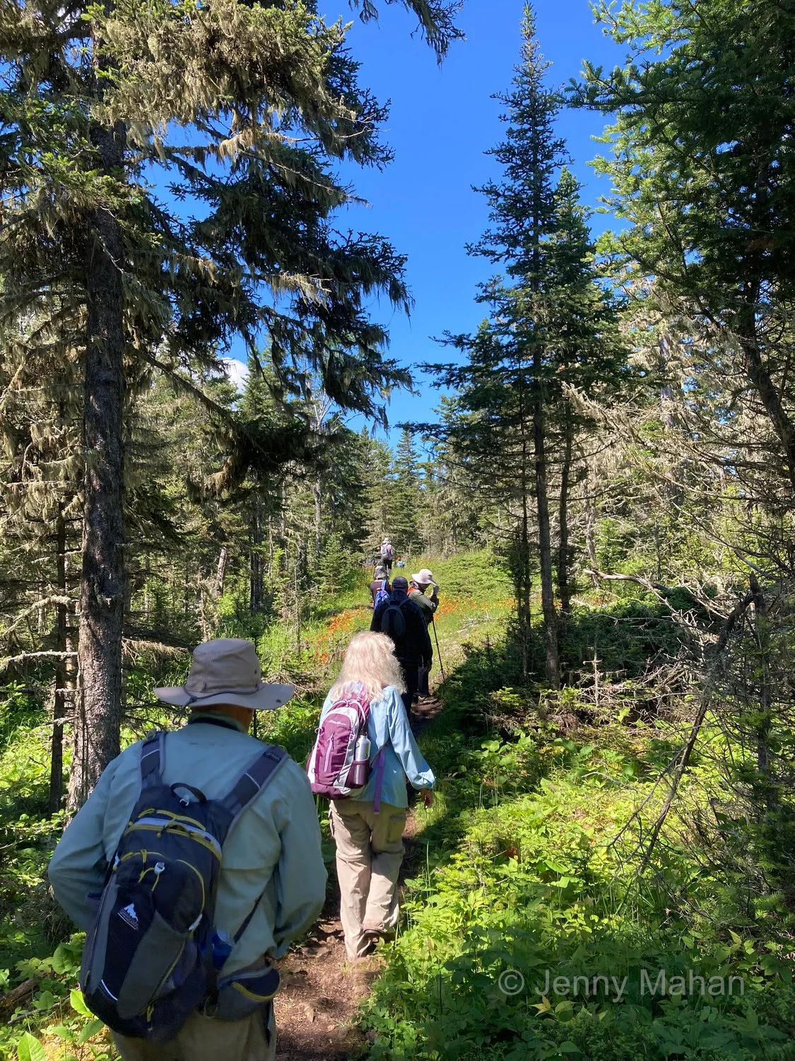 Scoville Point Hike