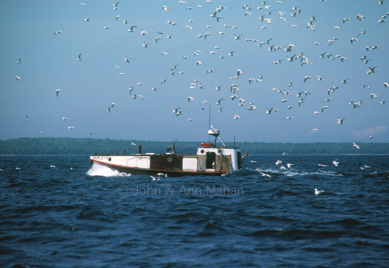 ID_12-410B   Gulls following a Commercial Fishing Tug near Beaver Island