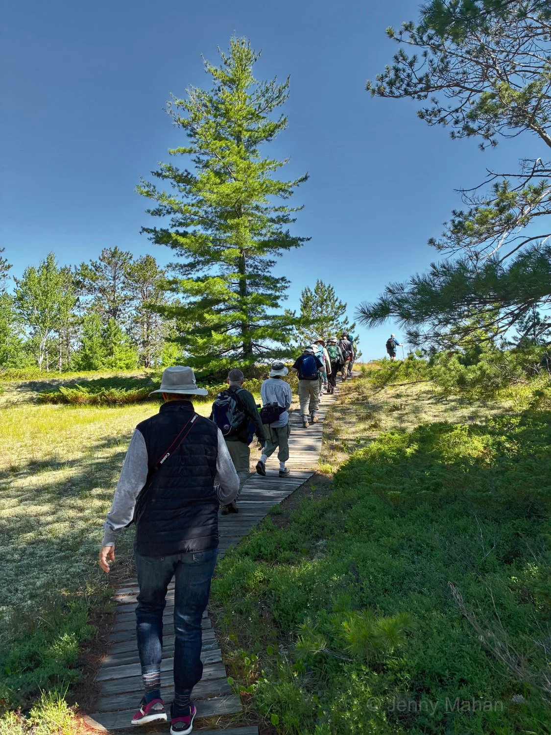 Stockton Island Tombolo Trail -- Hiking in Pine Savannah by Julian Bay