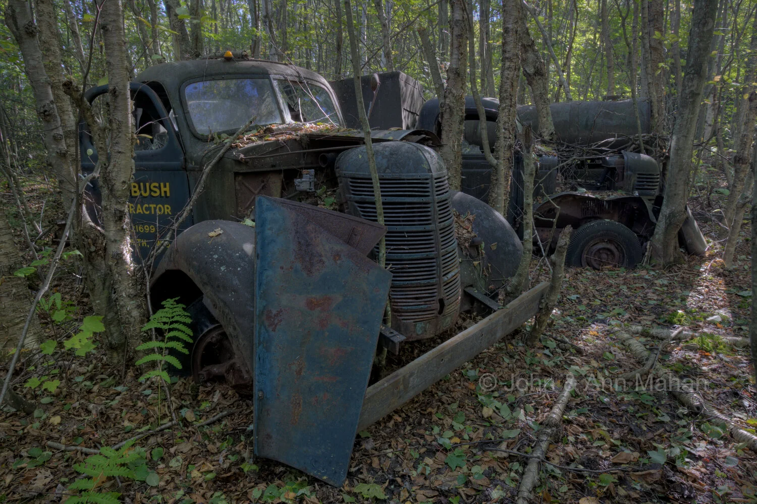 ID_0599C2_05X Outer Island trucks in old logging camp