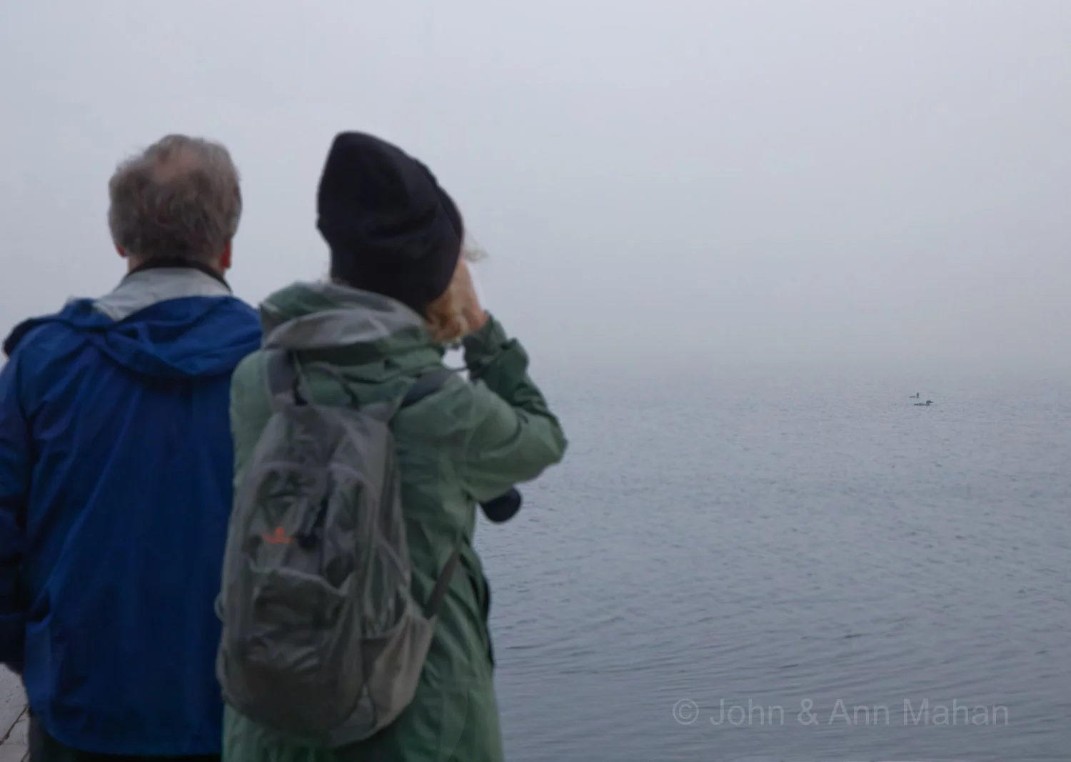 Morning Walk -- Watching Loons, Tobin Harbor
