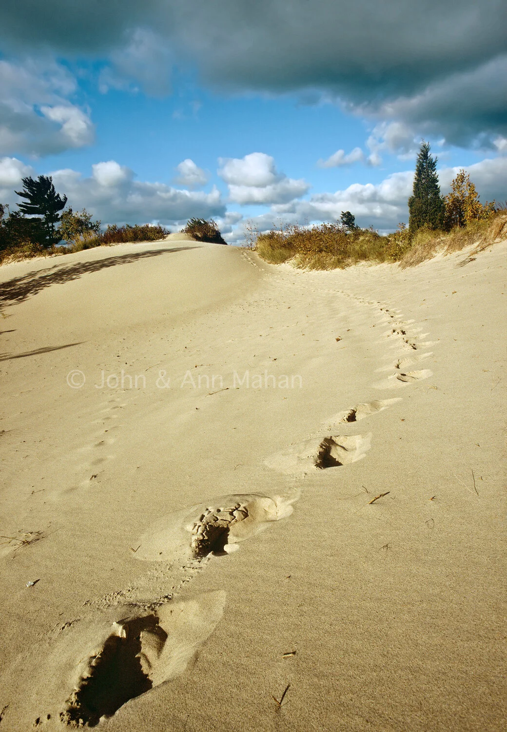 ID_30-3549C   Footprints in Sand of Grand Mere Dunes