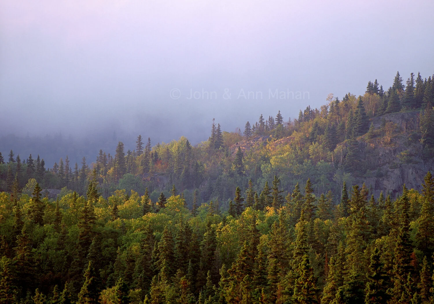 ID_21-4791C Mist over Boreal Forest of Pukaskwa National Park