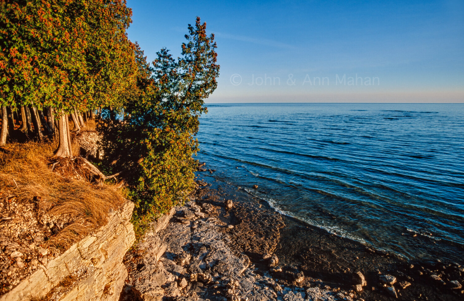 ID_36-7344C Cedars on Rock Island Cliff -- Lake Michigan