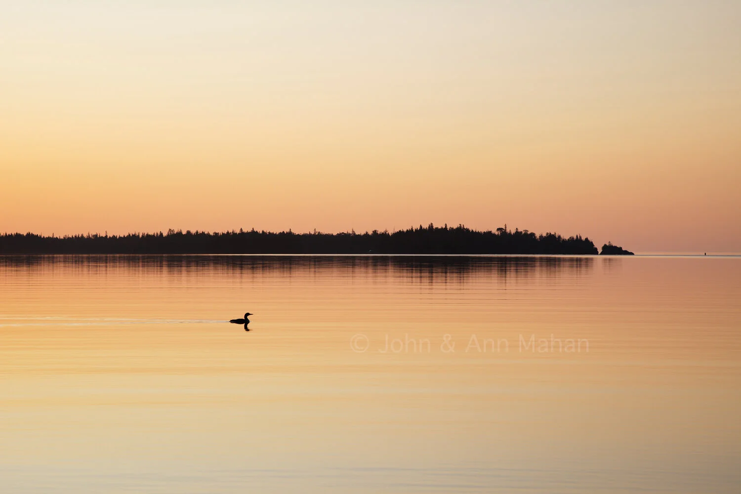 ID_7536B4_09  Loon at Sunrise near Three Mile Campground -- Isle Royale