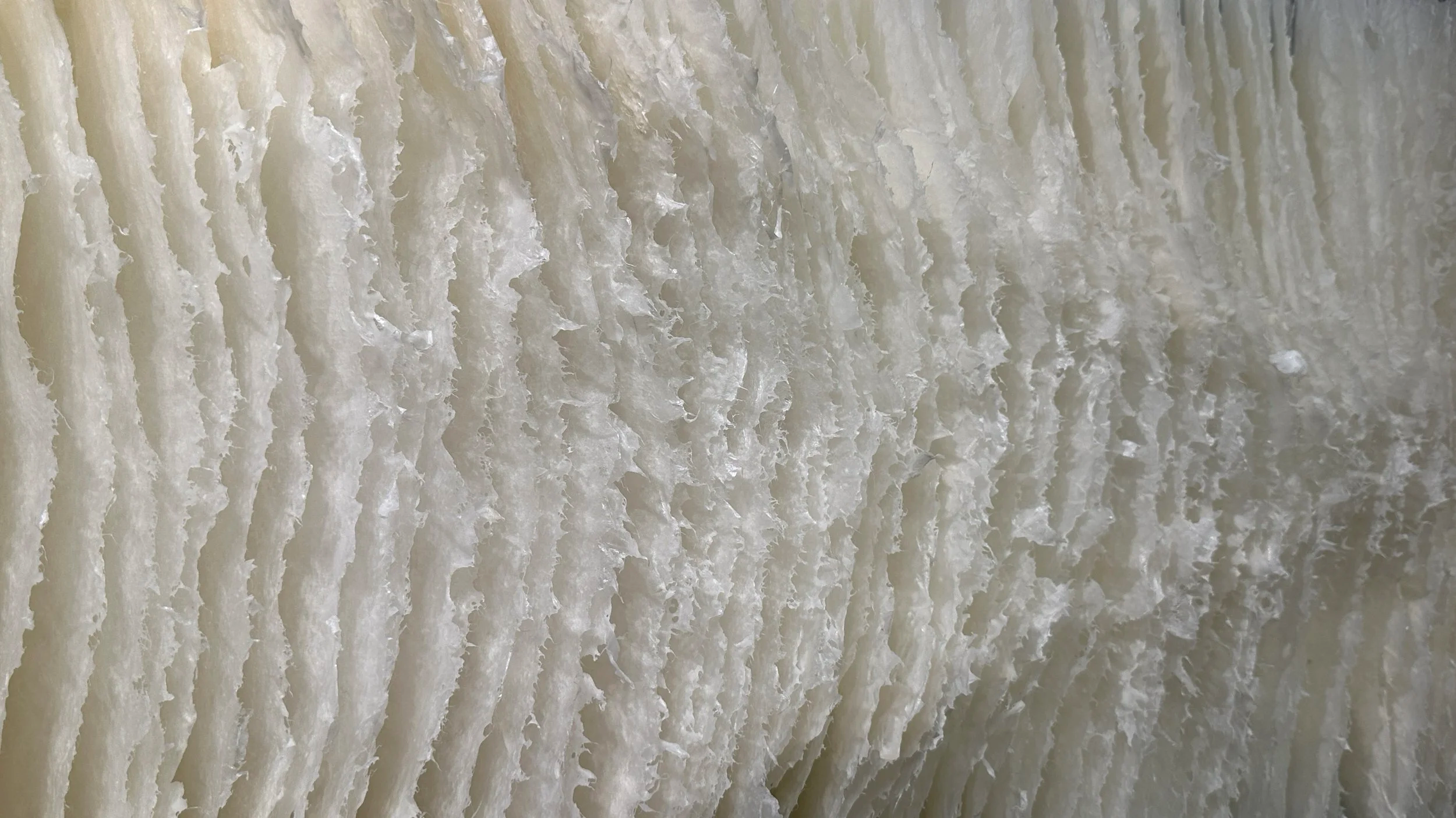Detail of Into The Wind
