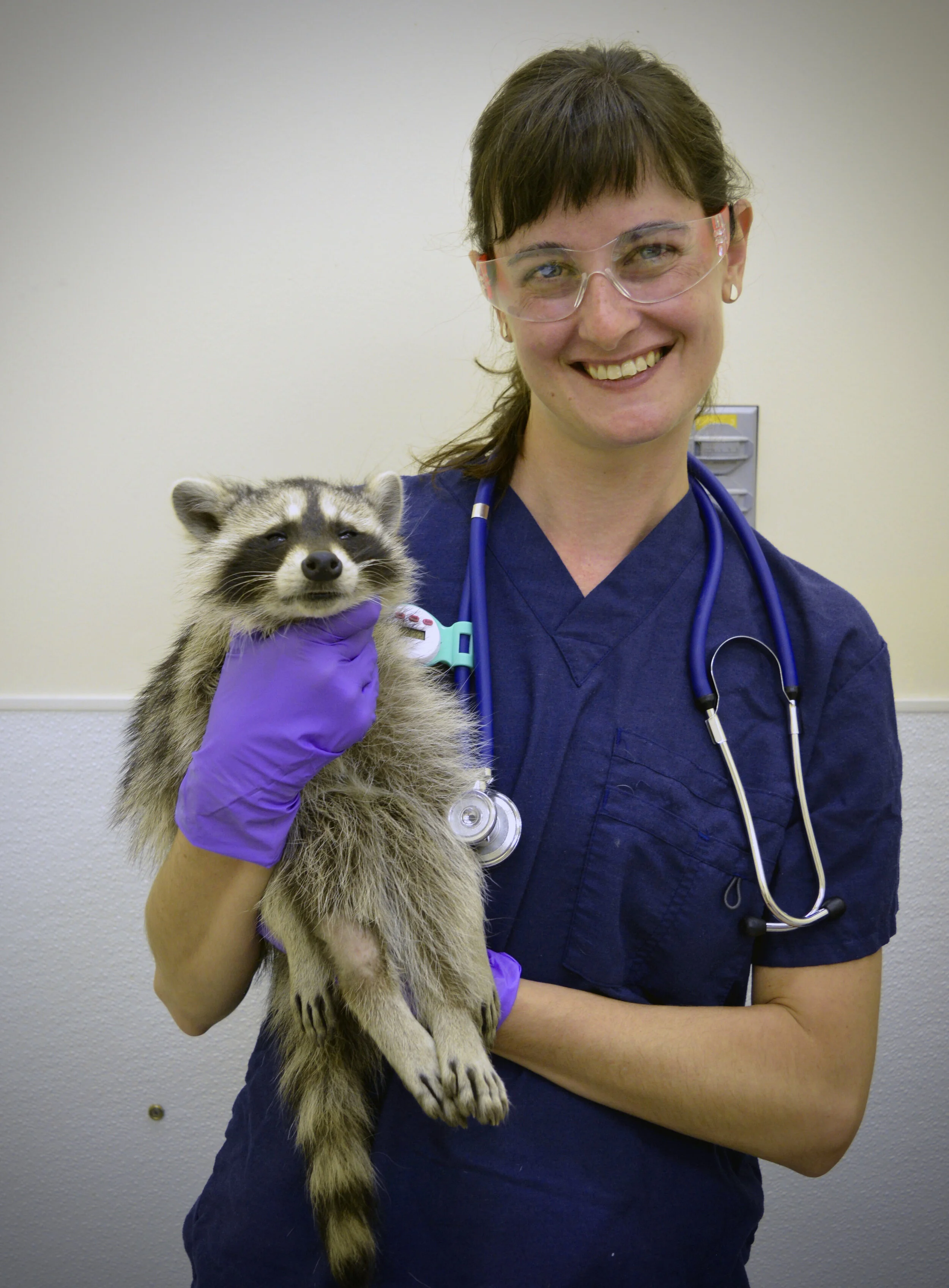 Hannah Griebling, PhD Candidate (she/her)