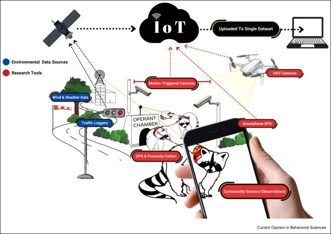 Publication Alert: How technology can advance the study of animal cognition in the wild