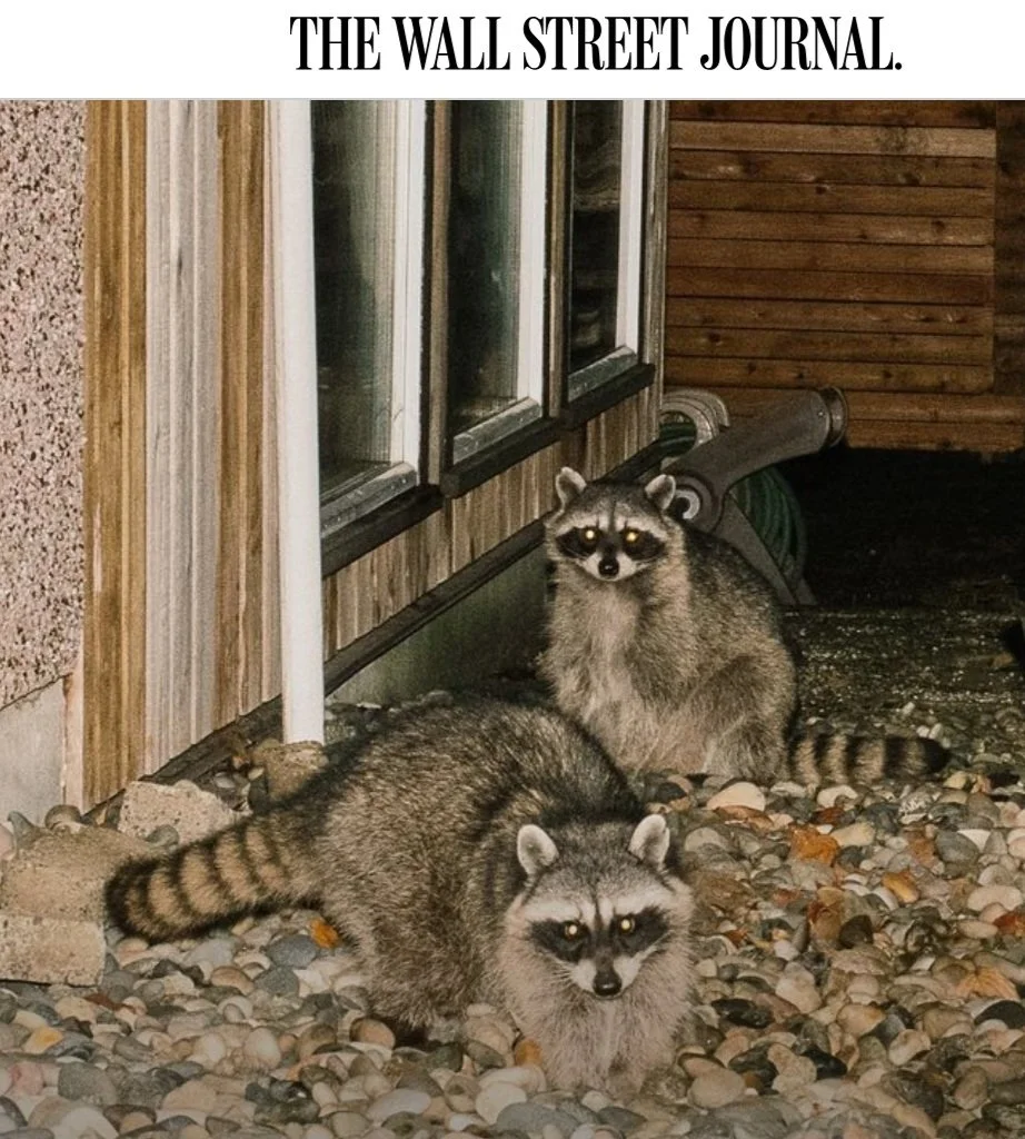 Wall Street Journal Features