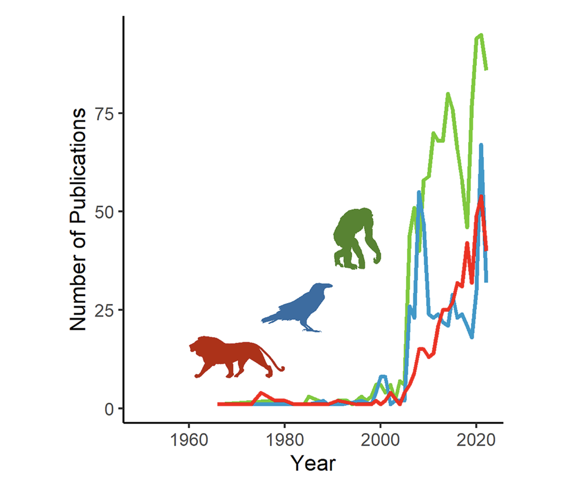 Publication Alert: The current state of carnivore cognition