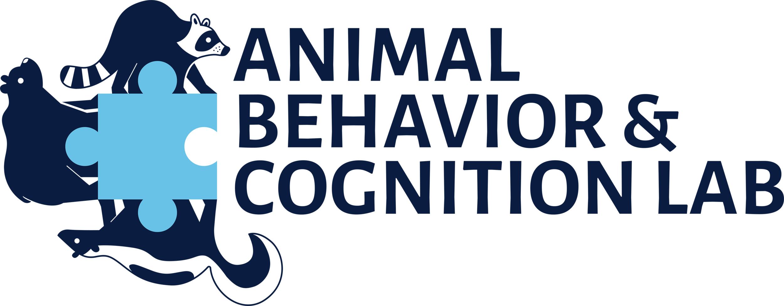 Research — Animal Behavior & Cognition Lab