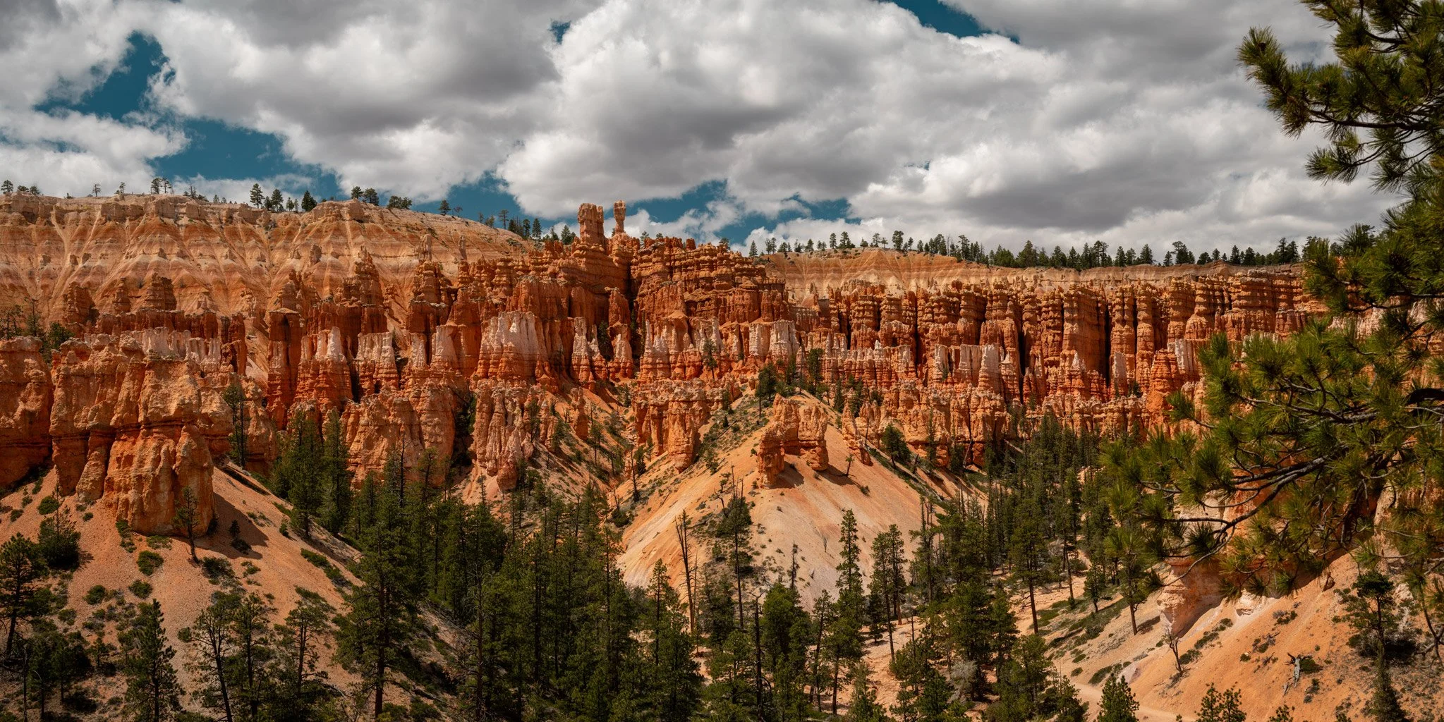Bryce-Ampitheatre-1-(for-web).jpg