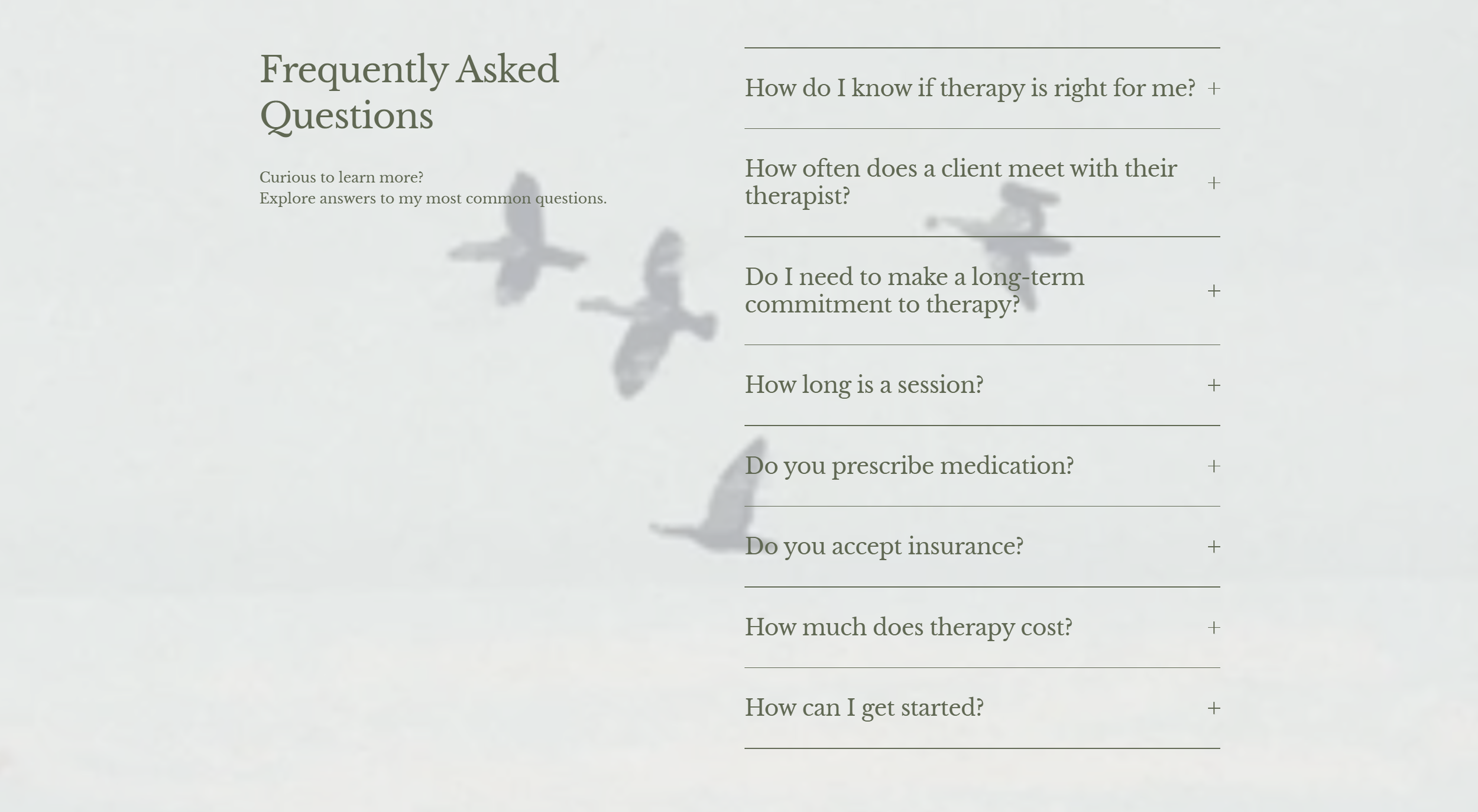 Nicole_Wagner_FAQS_Page.png
