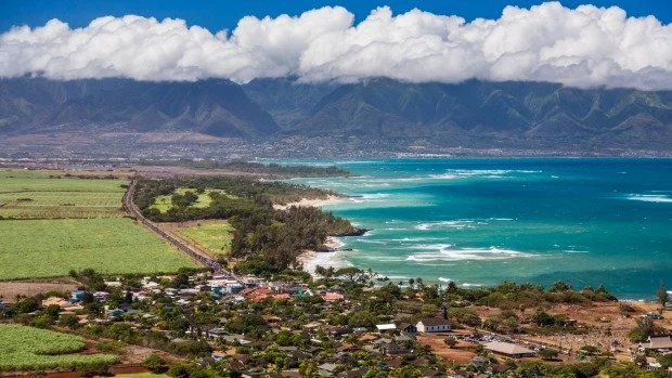 2022’s Red-Hot Sales Numbers Have Finally Started to Cool