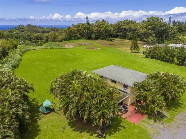 January 2025 Maui Real Estate Update: Market Trends &amp; New Opportunities (Copy)