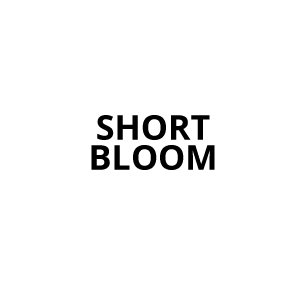 ShortBloomLogo-300x284.png