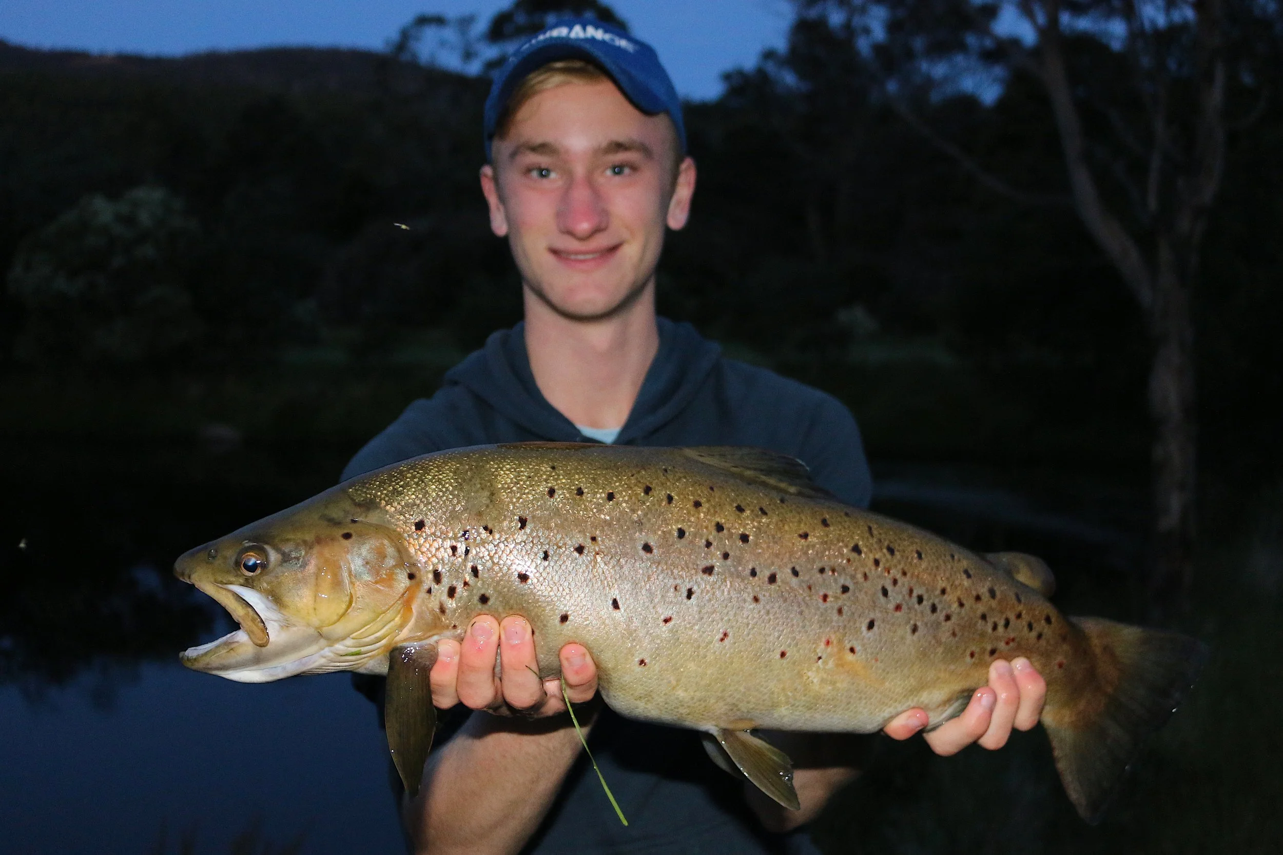 Species Spotlight: Brown Trout — Upper Murrumbidgee Demonstration Reach