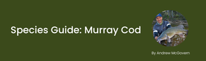 Species Spotlight: Murray Cod — Upper Murrumbidgee Demonstration Reach