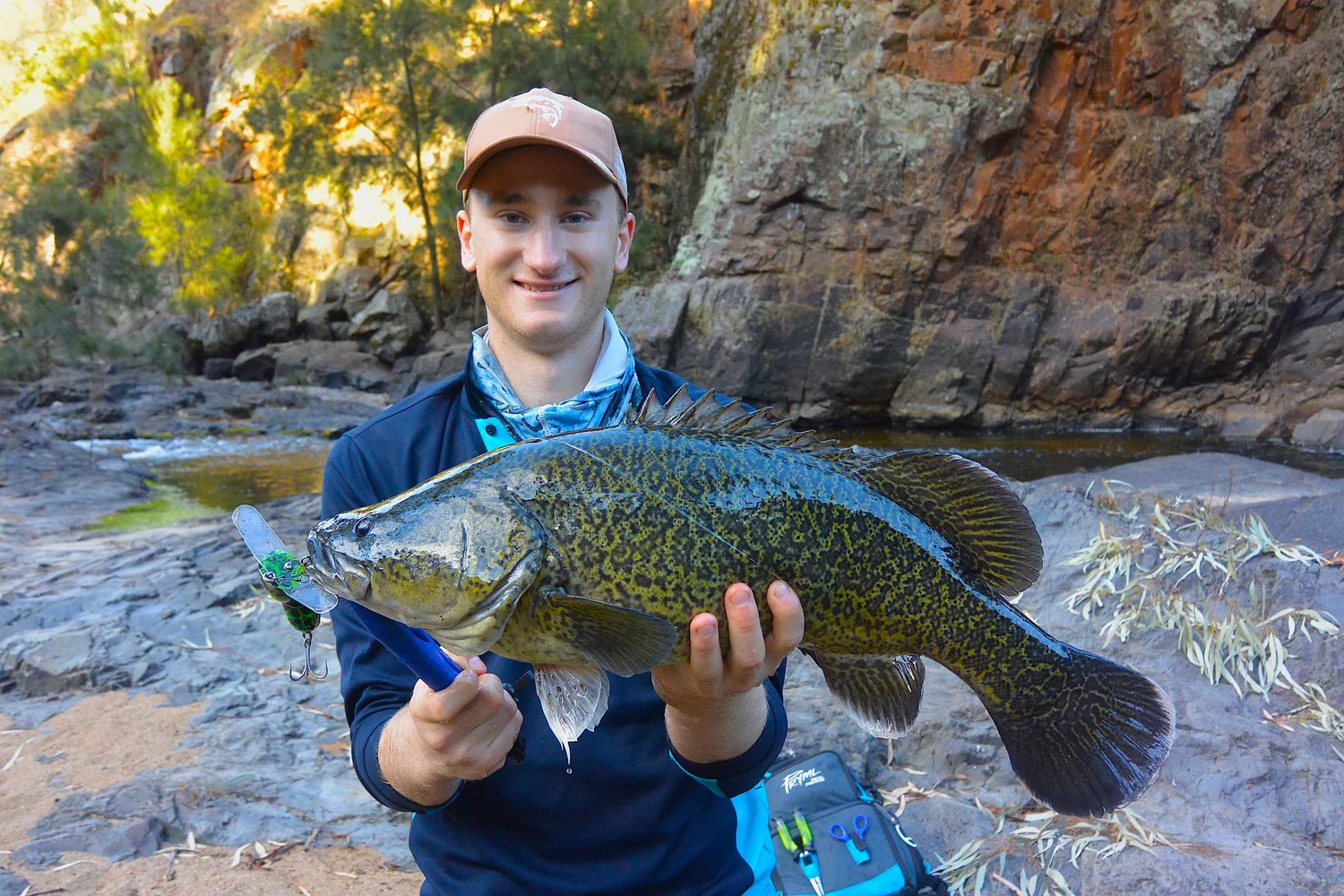 Species Spotlight: Murray Cod — Upper Murrumbidgee Demonstration Reach
