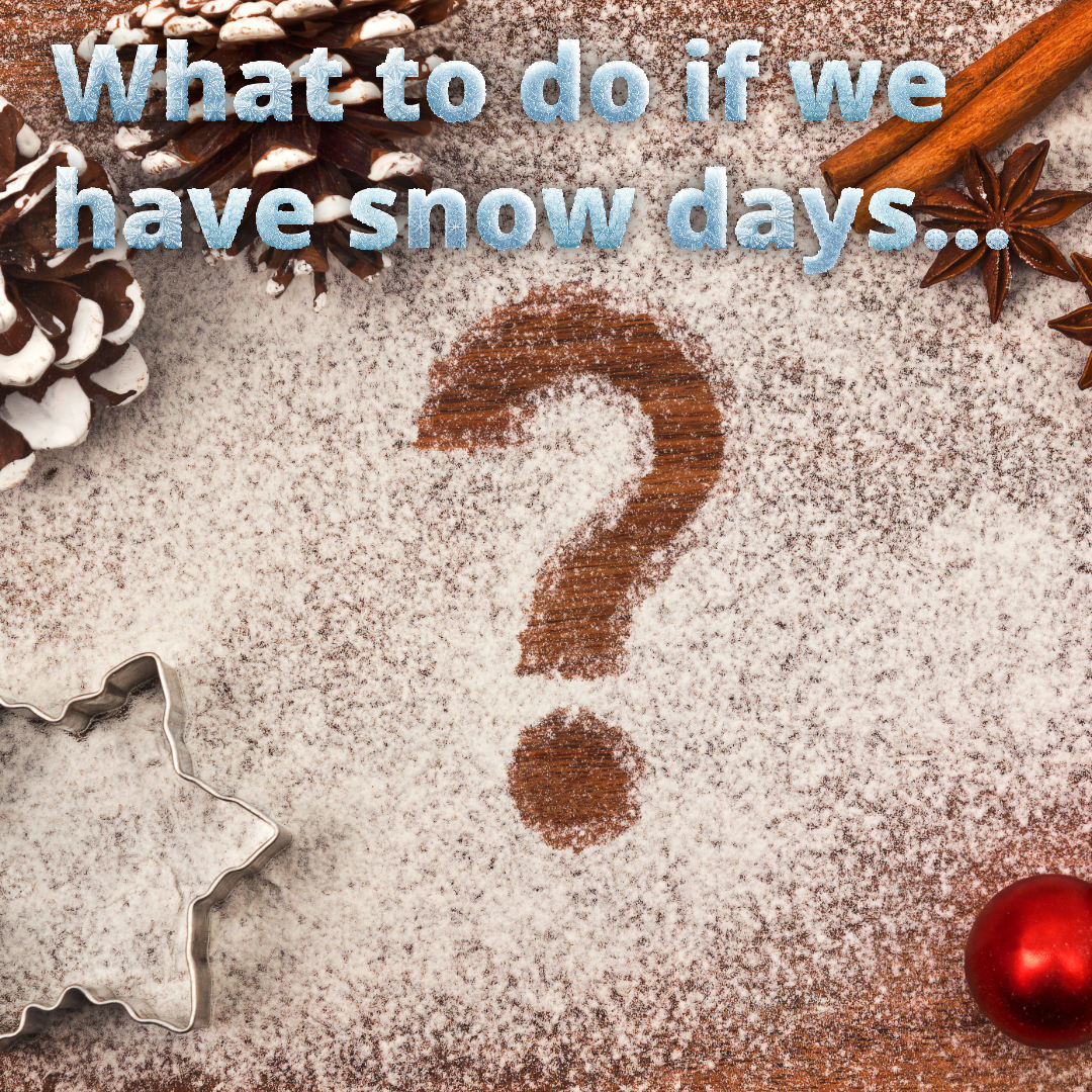 What to do if we have a snow day…