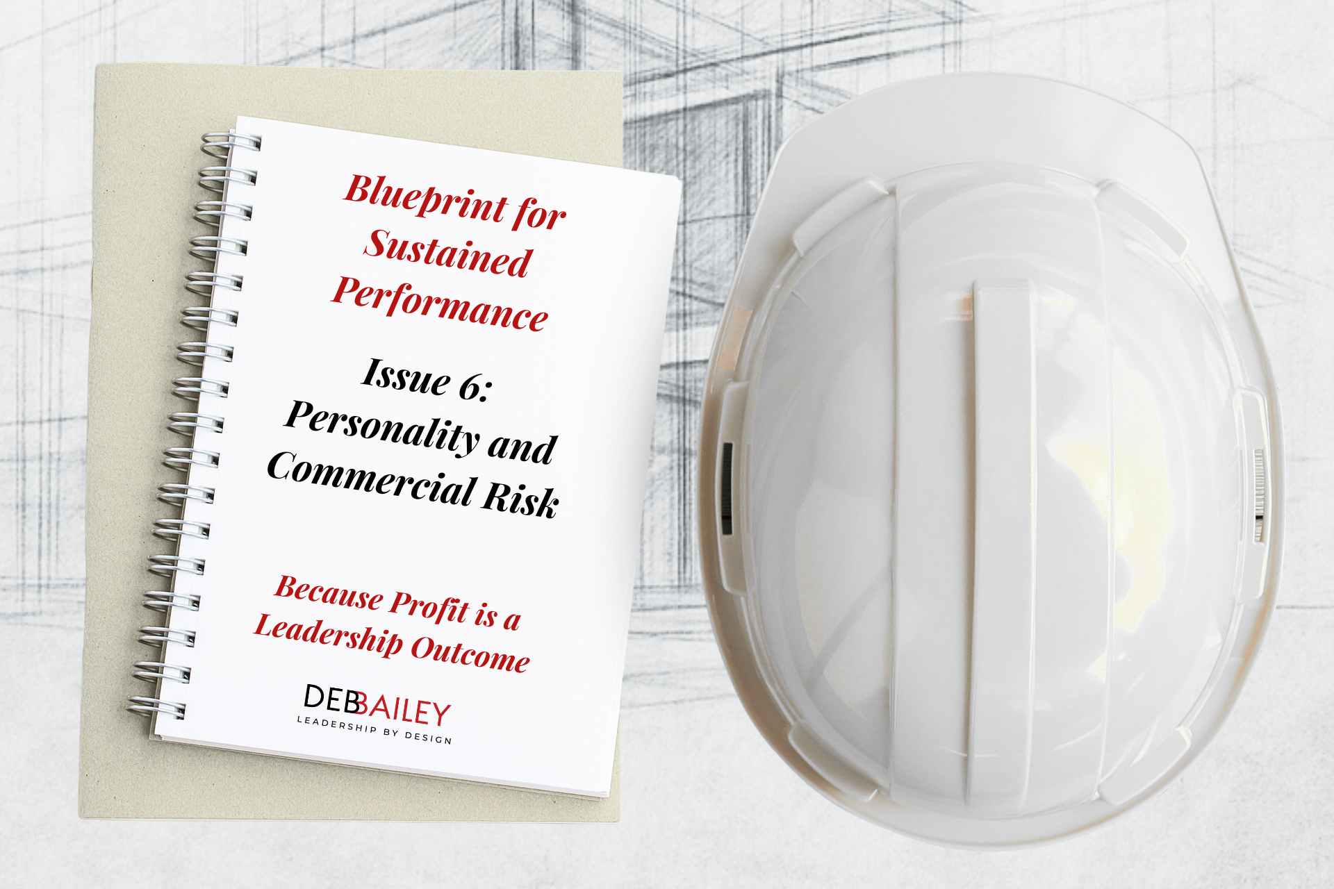 Blueprint for Sustained Performance Issue 6: Personality and Commercial Risk