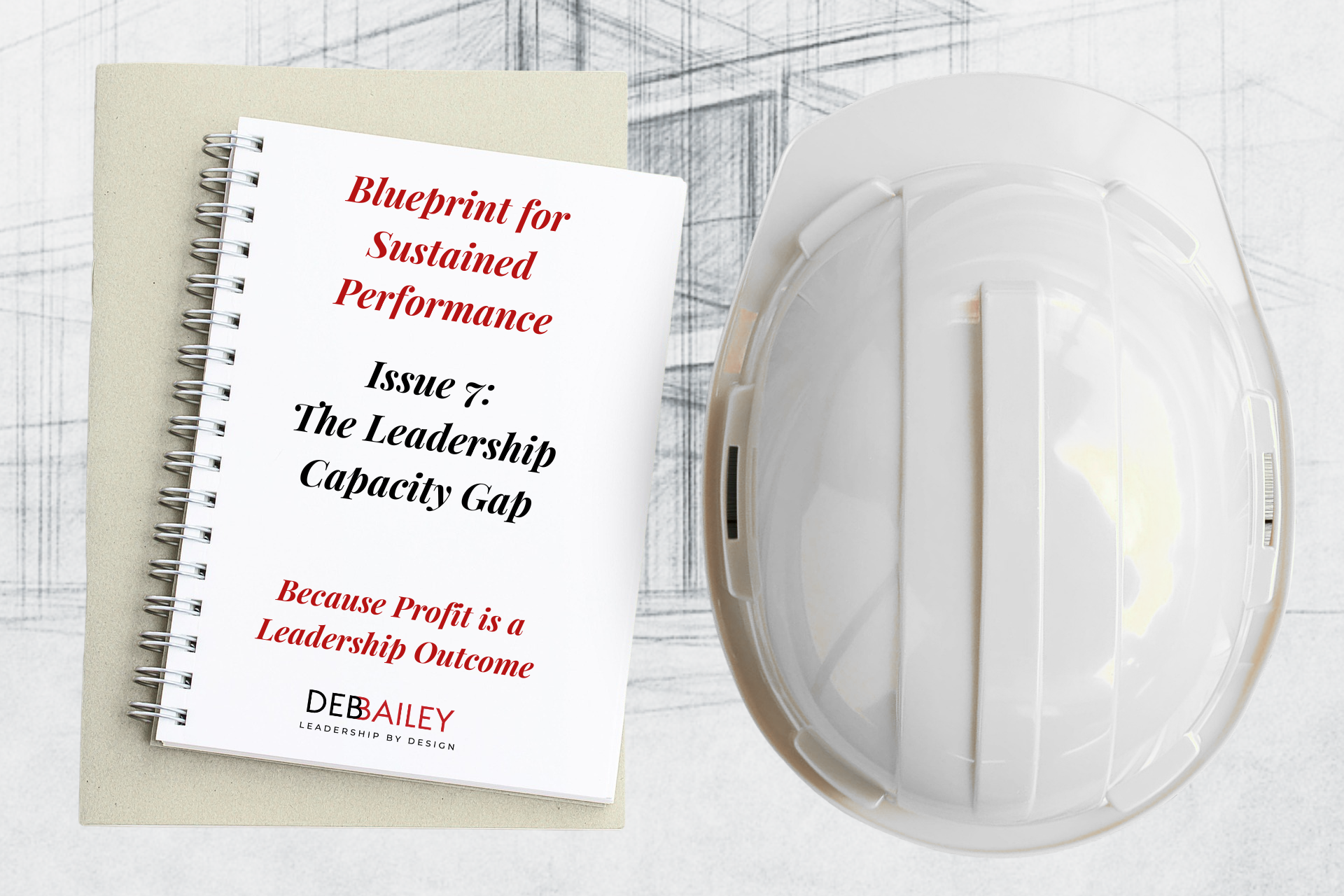 Blueprint for Sustained Performance Issue 7: The Leadership Capacity Gap