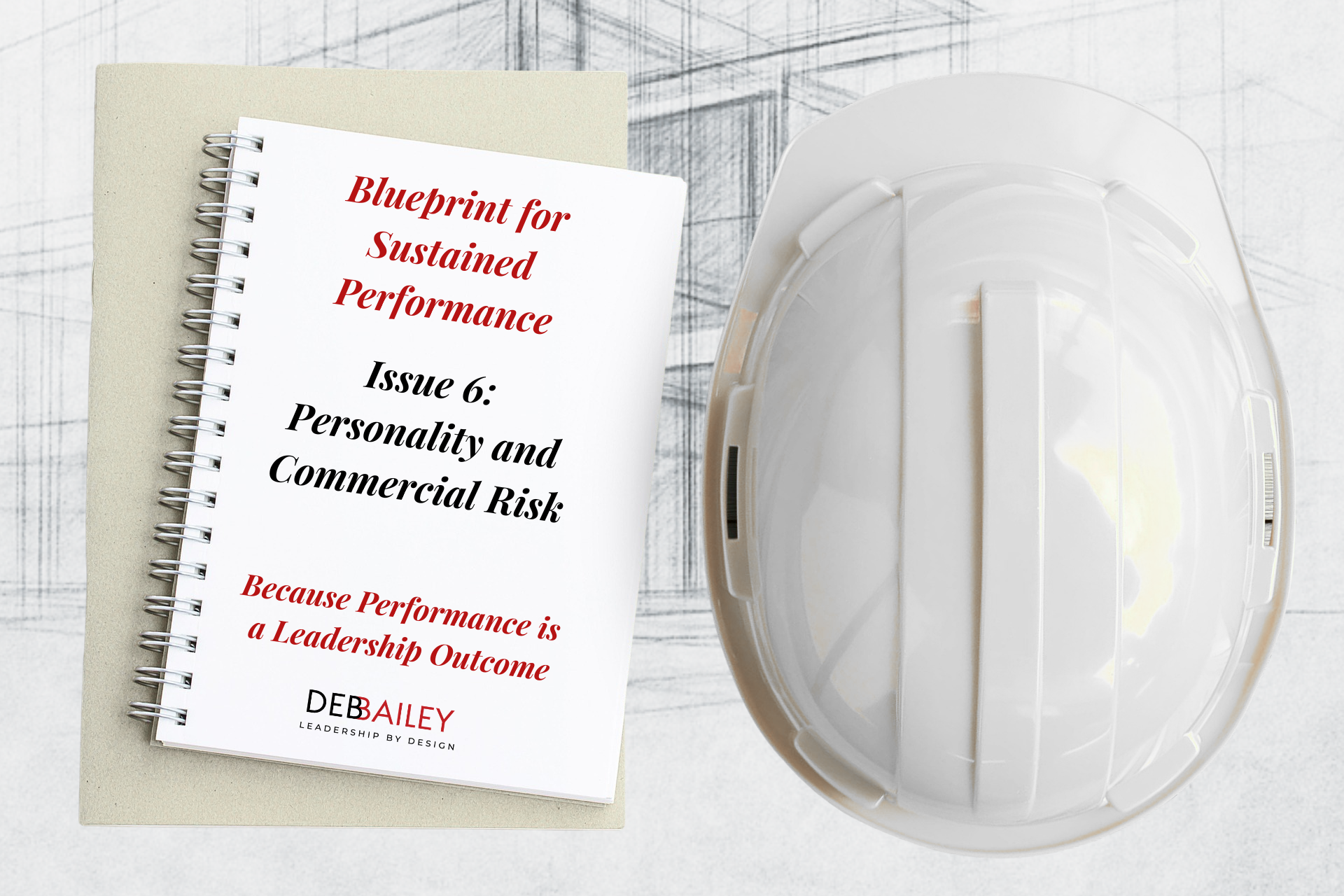 Blueprint for Sustained Performance Issue 6: Personality and Commercial Risk