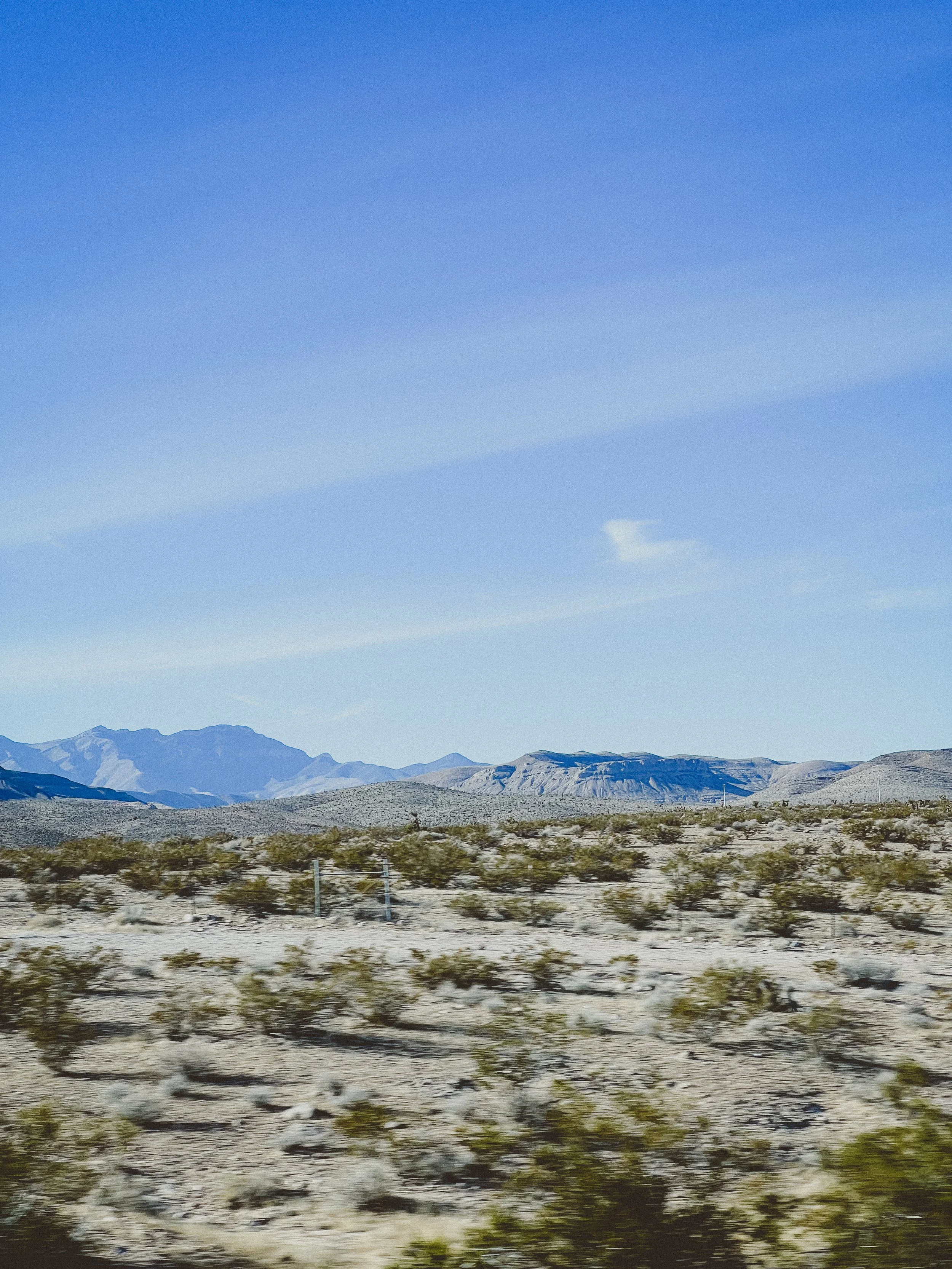 VEGASGIVING-29.jpg