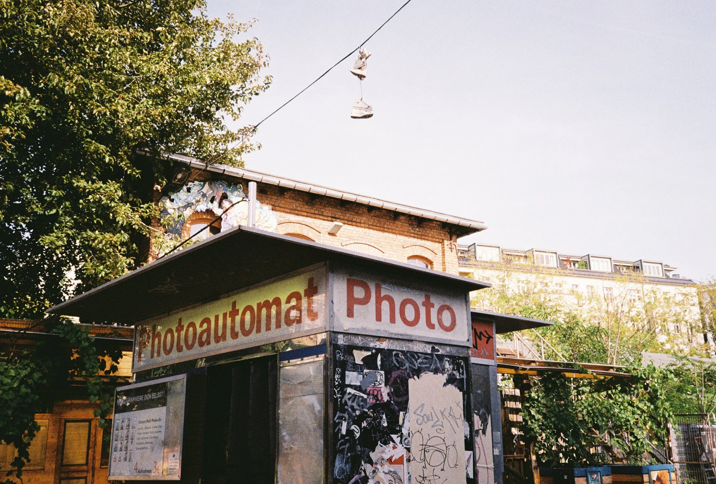 film fall dump 2023-30.jpg