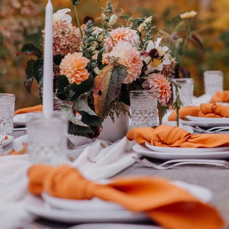 Burnt orange linen napkin, $1ea to hire