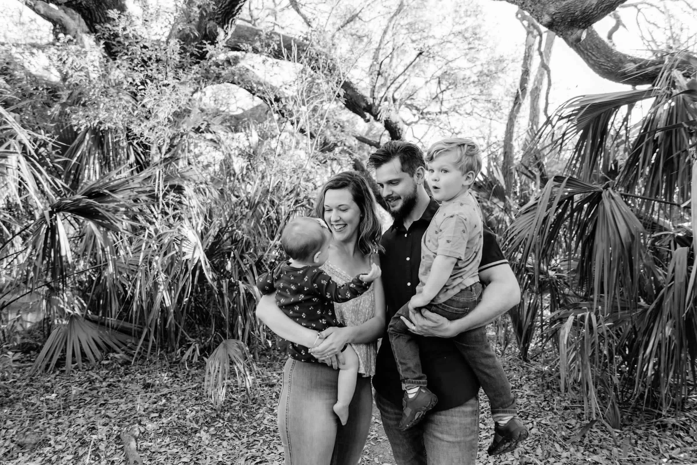 The Church — The Forest Church